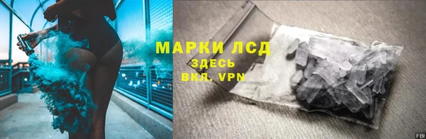дмт Алзамай
