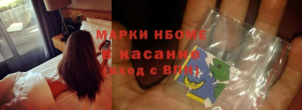 дмт Алзамай
