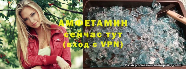 дмт Алзамай