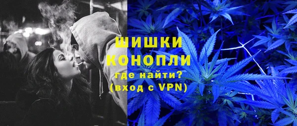дмт Алзамай