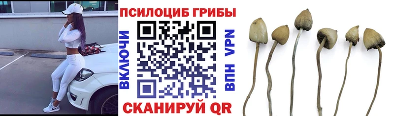 нарко площадка какой сайт  Алушта  Галлюциногенные грибы ЛСД  хочу наркоту 