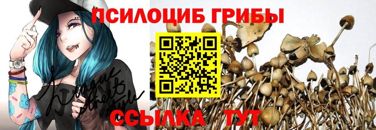 Псилоцибиновые грибы прущие грибы  Галлюциногенные грибы MAGIC MUSHROOMS  Вход с VPN  Алушта 