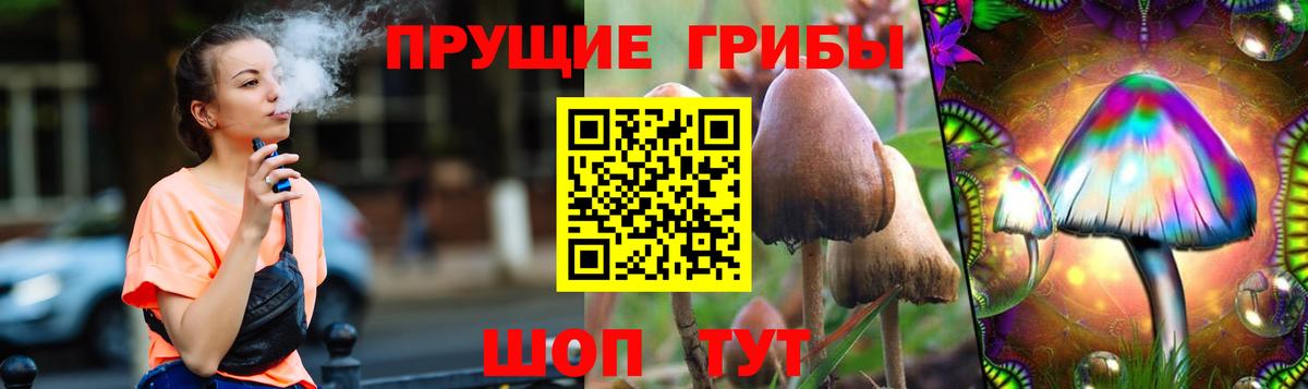 Псилоцибиновые грибы мицелий Алушта